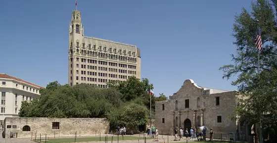 Alamo